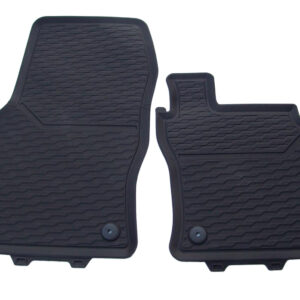 VW Passat mats